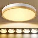 White Gold Flush Mount Ceiling Light 12 Inch LED Dimmable 24W 5CCT(2700K-5000K) Kitchen Hallway Bedroom Entryway Closet Ceiling Light