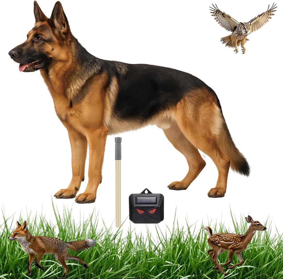 Qualirey Coyote Decoy to Scare Geese Predator Decoys Repellent for Geese Deer Goose Deterrent Fake Coyote with Solar Powered Repellent Devices to Keep Away Small Animals (German Shepherd)