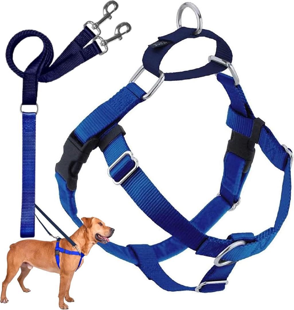 2 Hounds Design Freedom No Pull Dog Harness, Adjustable Harness and Leash Set, Easy Walking & Comfortable Control, Fits Small, Medium & Large Dogs, Solid Colors, Made in USA, 1" LG, Royal Blue