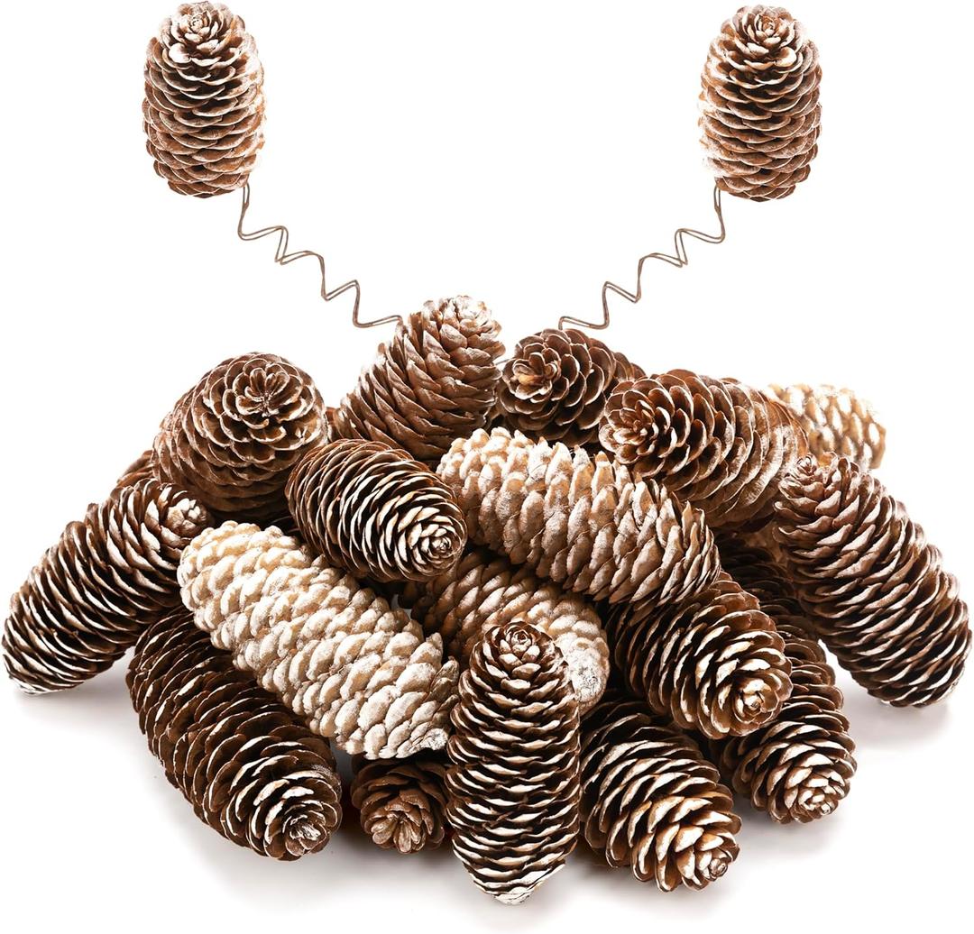 12Pcs Snow Natural Pine Cone Kit with Brown Iron Wires for DIY, 2.2"-3.5" Big Spruce Pine Cones, Rustic Pinecones Decor for Christmas Tree, Wreaths, Crafts, Fall, Wedding, Xmas Home Decor