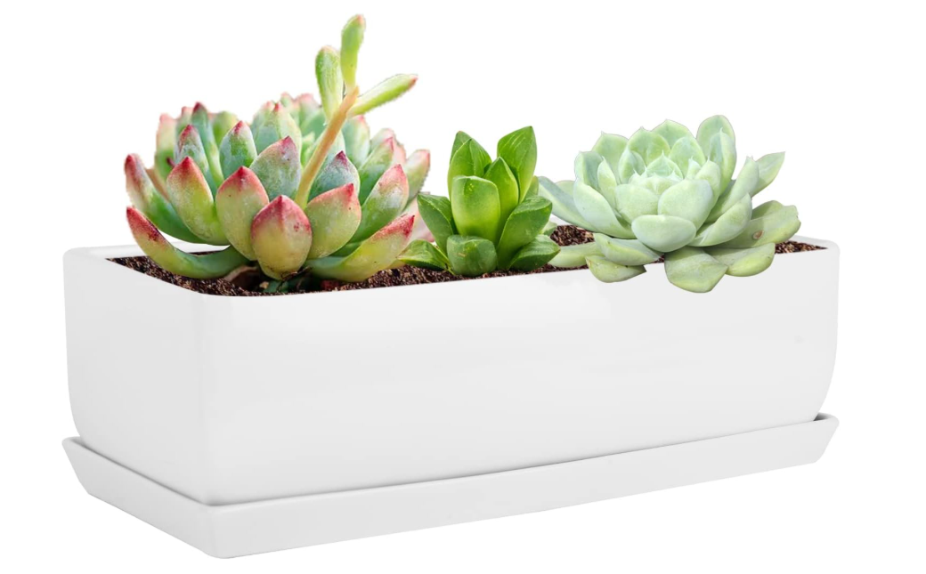 Vencer 14 Inch Rectangular Modern Minimalist Ceramic Succulent Planter Pot  Window Box with Saucer,Office Desktop Potted Stand,White,VF0173W