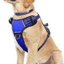WINSEE Dog Harness No Pull, Pet Harnesses with Dog Collar, Adjustable Reflective Oxford Outdoor Vest, Front/Back Leash Clips for Small, Medium, Large, Extra Large Dogs, Easy Control Handle for Walking (Blue) L