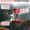 Smart Hummingbird Feeder Camera with AI Identification, 2.5K HD & Color Night Vision, Solar Powered Outdoor, IP66 Weatherproof – Garden Decor & Premium Gift for Mom, Red