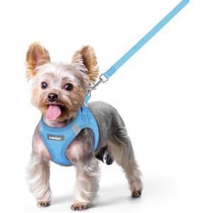 Rabbitgoo Dog Harness Small Sized and Leash Set, Step in Soft Light Puppy Vest, Breathable Mesh Pet Harness, Reflective for Safe Easy Walking, Blue XS