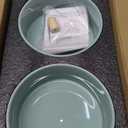 Ceramic 6.1inch Raised Dog Bowl with Stand for Dog Dish Pet Food and Water Bowl (Double Bowl with Stand - Light Green, 28oz)