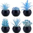 GREENTIME 6 Pcs Blue Artificial Succulent Plants in Mini Black Plastic Pots Small Fake Succulent Plant Faux Indoor Decor Bedroom Desk Bathroom Office Living Room Table Shelf Home Decoration