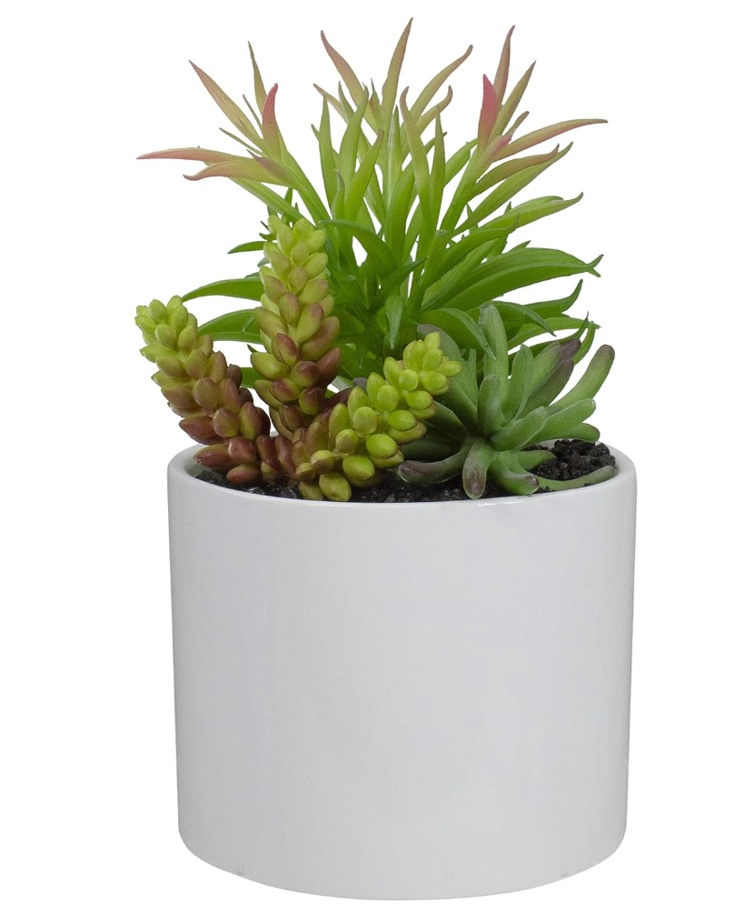 Northlight 9" Artificial Succulent Arrangement in White Ceramic Pot