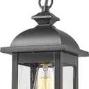 FEMILA Outdoor Pendant Lights for Porch, Exterior Hanging Latern Outdoor Hanging Light Fixture, Black Finish with Clear Glass, 4FD54H BK (13.6")