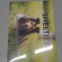 Sheltie Calendar 2025 Shetland Sheepdogs Monthly Wall Calender 12 Month | American Made In The USA