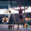 5 Pcs Professional Resistance Bands. Latex-Free, Pilates Band, Work Out Bands, Stretch Bands for Working Out Women or Men, Exercise Bands Set for Pilates, Physical Therapy, Yoga