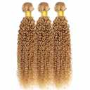 Color #27 Kinky Curly Bundles Honey Blonde Kinky Curly Human Hair 3 Bundle 28 30 32 Inch Unprocessed Brazilian Virgin Remy Hair Weave Double Weft Blonde Hair Soft & Silky & Full 300g