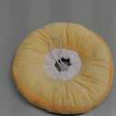 ANWA Adjustable Cat Cone Collar Soft, Cute Cat Donut Collar After Surgery, Kitten Recovery Cones to Stop Licking (Small, Orange)