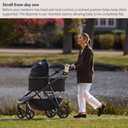 Mockingbird Bassinet, Black