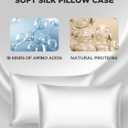 Mulberry Silk Pillowcase for Hair and Skin, SGMSILK 22 Momme Natural Silk Pillow Cases with Zipper, 6A Soft and Smooth Single Sided Pure Silk Pillow Cover (Light Gray, Queen 20"x30")