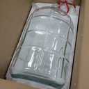 Suzile 5 Gallon Glass Carboy Set, 5 Gallon Glass Water Jug with Drilled & Undrilled Rubber Stoppers, Bubble Airlock, Handle and Brush, Fermenter Carboy Jug for Beer Wine Making Equipment (Clear)