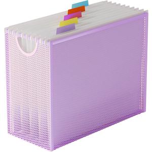 Letter-Size Hanging File Organizer (Purple, with 5 Grey Folders)