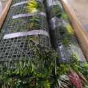 ODTORY Artificial Plant Wall Panels: 80"120" UV-Anti Faux Grass Wall Backdrop Boxwood Ivy Fence Privacy Screen Fake Greenery Leaf Hedge for Outdoor,Indoor,Garden,Backyard and Home Decor