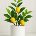 AceList Nearly Natural Small Fake Lemon Tree for Lemon Decor, 14.6 Inches Artificial Lemon Tree with White Pot Potted Plant Perfect for Kitchen, Home, Indoor