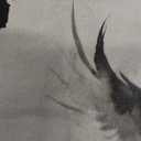 Japanese Phoenix Ink Art for Men Women Kids T-Shirt, S