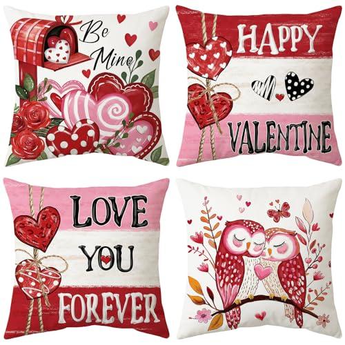 2 x Dotegu Valentine's Day Decorative Throw Pillow Covers, 18x18 Inch, Set of 4, Love Hearts Design, Red and Pink Theme, Indoor Cushion Cases