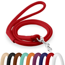 CollarDirect Rolled Leather Dog Leash 6ft, Soft Training Leather Dog Leash for Puppy and Grown Dog Small Medium Large Black Blue Red Orange Green Pink White (Red, Size S 6ft)