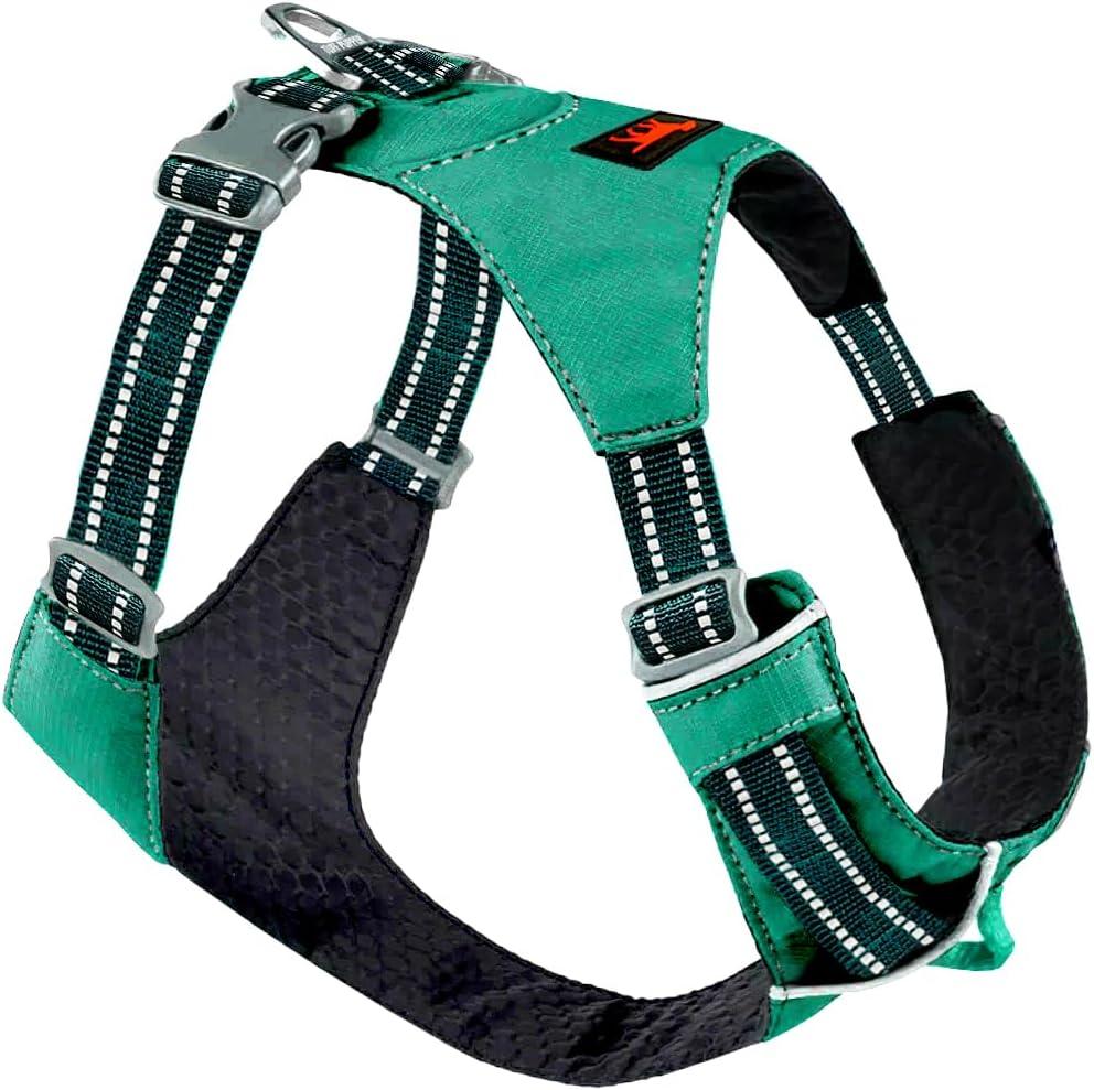 Tuff Pupper All-Day Wear Dog Harness | for Walking, Trail Running, Hiking | Front & Back Leash Clips | Reflective Trim | Easy On/Off Buckles | Lightweight Breathable | No Pull Design (Small, Teal)