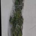 Nearly Natural 5040 Bamboo Silk Plant, 4-Feet, Green,49.5" x 9" x 9"