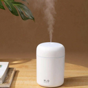 Portable Mini Humidifier, Colorful, Cool Mist, USB Powered. Perfect for Bedroom, Office & Car (300ml, White)