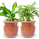 D'vine Dev 6 Inch Design Self Watering Pot for Indoor Plants, Terracotta Planter with Cylinder Glass Cup, Set of 2, 37-Y-B-1