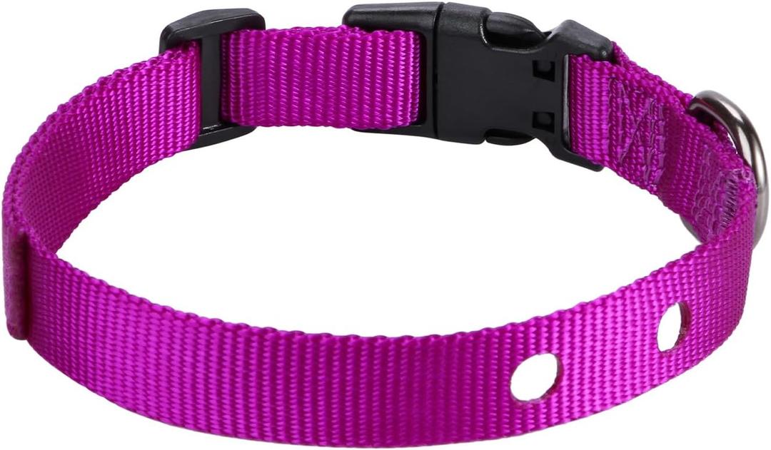 1 Inch Dog Shock Collar Replacement Strap with 2 Holes - Compatible with Most Brands of Ecollar Dog Fences and Training Collars, Purple
