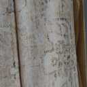 LIVEBOX Washable Area Rug 8x10 Rugs for Living Room Bedroom, Non-Slip Boho Neutral Carpet for Dining Room Office, Low-Pile Farmhouse Soft Carpets for Kids Nursery Room Playroom, Tan