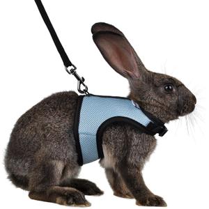 Niteangel Adjustable Soft Harness with Elastic Leash for Rabbits (M, Blue)