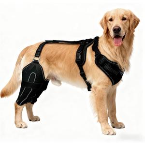 Adjustable Dog Knee Brace for Both Hind Legs - Support for ACL/CCL, Luxating Patella, and Cruciate Ligament Injuries with Secure Wrap, L