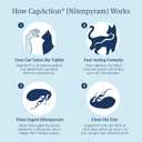 PetArmor CAPACTION (nitenpyram) Oral Flea Treatment for Cats, Cat Flea Treatment Pill, Fast Acting Tablets Start Killing in 30 Minutes, 2-25 lbs, 6 Doses