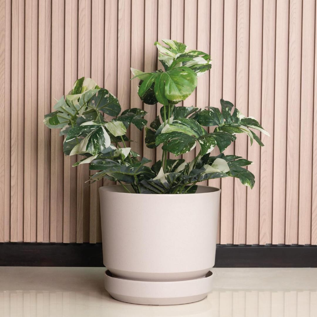 Elly Décor 8 inch Plastic Cylinder Planter Pot with Self-Watering Saucer and Drainage Hole,Lightweight & Extremely Durable, 8"x 8", Ivory