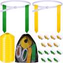 Flag Football Set, 14 Player Adjustable Belts with Cones Includes 14 Easy Tear Away Belts, 28 Football Flags, 12 Cones, 1 Carrying Bag for Youths, Adults Sport Team Training