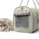 Soft-Sided Pet Carrier for Cats and Small Dogs Stylish, Airline-Approved Travel Bag with Mesh Ventilation, Collapsible, Removable Pad and Safety Leash, Fits up to 16 lb
