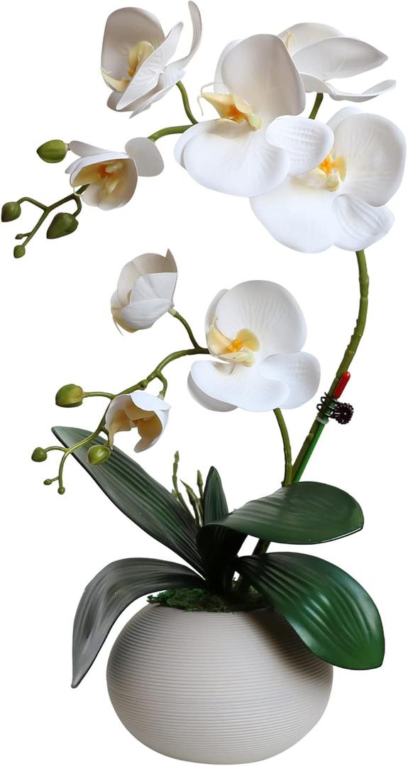 Forlaoers Tall 17" White Real Touch Orchid Artificial Flowers with Vase Fake Orchids Silk Floral for Home Decor Indoor Bathroom Decoration Potted Office Table Centerpieces Arrangements