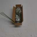 Yastouay Babys Breath Artificial Flowers, 6Pcs Fake White Babys Breath Flowers Artificial Bulk, Real Touch Faux Babies Breath Gypsophila Bouquet for Wedding Floral Arrangement Party Decor