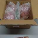 Yiyiring 24 Pcs Flower Detachable Martini Glasses, 7oz Plastic Cocktail Glasses, Flower Edge Wavy Mimosa Champagne Glass Coupe Unbreakable Glassware for Wine Wedding Valentine Party(Pink)