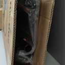 Mini Trampoline for Adults Fitness Trampoline, with Handle, 400/600lbs Weight Capacity, Sturdy/Noiseless Exercise Rebounder for Indoor & Outdoor Workout (40 Inch, Blue)