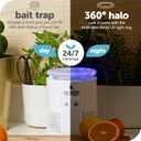 Katchy Duo Indoor Flying Insect Trap with Scent Pod Day & Night Effective Mosquito, Fruit Fly, Gnat & Small Moth Catcher Non-Zapper Trap with Blue UV Light & Fan Suction (Black)