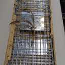 Live Animal Trap Cage with Cover, Cat Trap for Stray Cats 32 Inch Heavy Duty Folding Skunk Traps with Real Door for Raccoons, Opossums, Groundhogs, Skunks, Feral Cats, Squirrels-(32 x 10 x 12 inches)