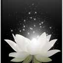 Lotus Flower Canvas Prints Wall Art Floral Blossom Pictures for Modern Wall Decor Artwork Spirtual Meditation Prints on canvas Wall Decor for Yoga Room Framed (16x24inch)