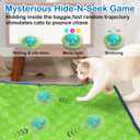 Waaiio Interactive Cat Toys for Indoor Cats,Automatic Moving Cat Ball in Pouch,Chirping Stimulation,Hide-n-Seek Chase Exercise Game,Motion Activate,Rechargeable Kitten Toys