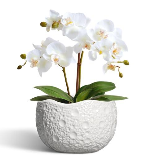 Thirtypot Ceramic Pots for Plants - 6 Inch Plant Pot for Indoor Outdoor, Decorative Orchid Pots with Drainage Hole, Unique Round Modern Planters, Home Decor, Gifts for Plant Lovers, White