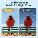 PeckCam Bird Feeder with Camera Solar Powered, AI Identify & Auto Capture with 32GB Card, 2K HD Live Video Smart Bird Feeder Camera Instant Notifications in Backyard, Gift for Bird Lovers