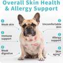 Dog Skin & Allergy Chews - Dog Probiotics for Sensitive Skin Health Support - Allergy Relief - Support Seasonal Allergies, Immune & Gut & Digestive Health Supplement - Beef Flavor - 90 Count