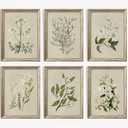 Vintage Botanical Wall Art Set of 6 Neutral Floral Canvas Wall Decor Wildflower Wall Art Watercolor Flower Prints Botanical Poster Minimalist Plant Pictures for Bedroom Living Room 8x10 Inch Unframed
