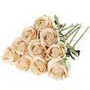 Nubry Artificial Silk Rose Flower Single Stem Lifelike Vintage Fake Rose for Wedding Bouquet Floral Arrangements Home Party Centerpiece Decoration, 10pcs (Vintage Champagne)
